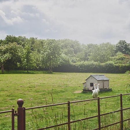 Apple Tree Cottage Beckford Eksteriør billede