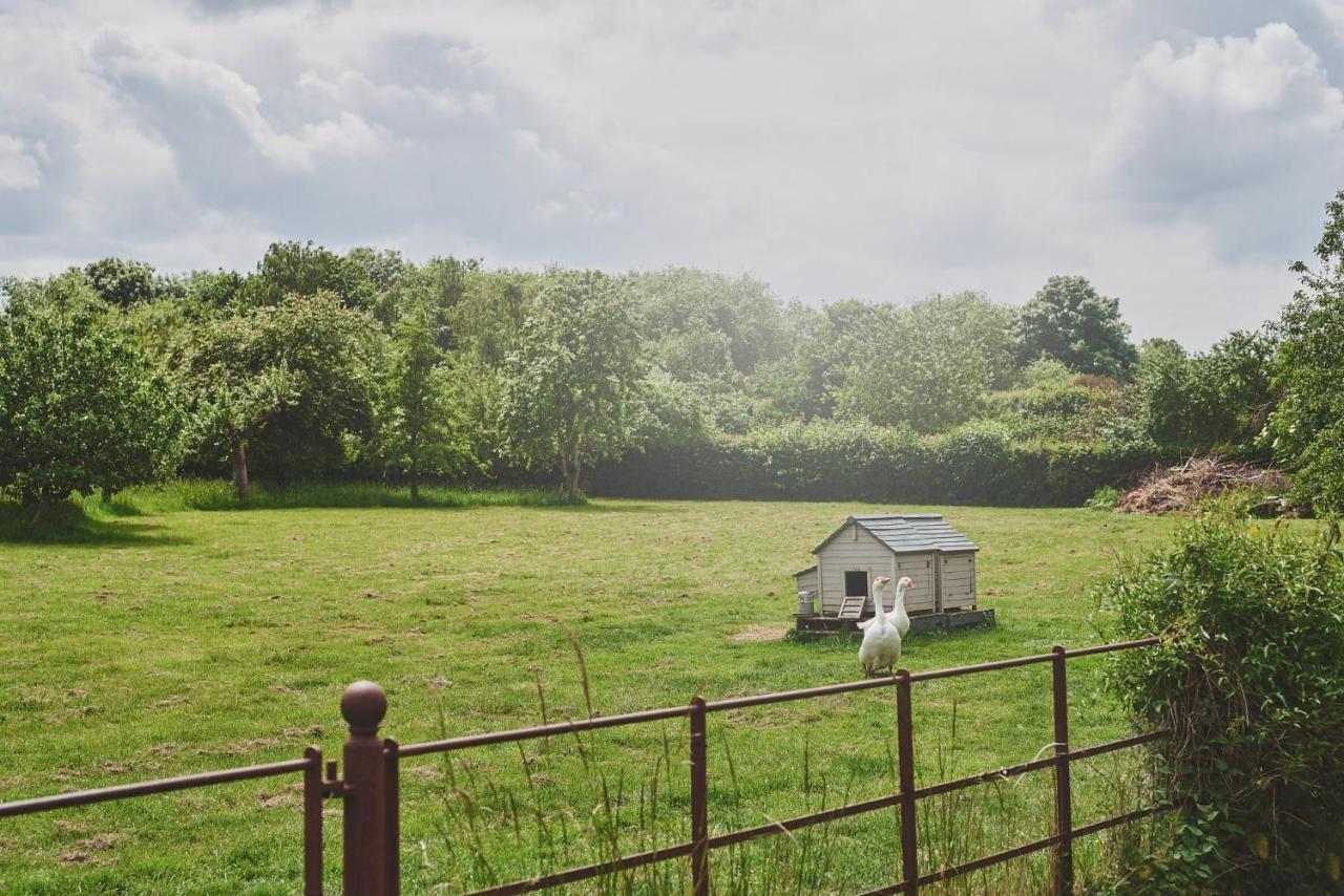 Apple Tree Cottage Beckford Eksteriør billede